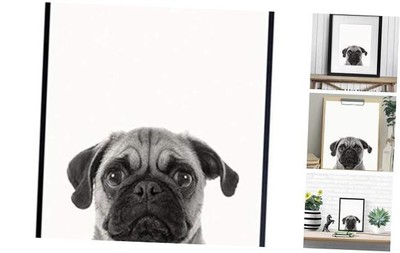 Pug Face Contemporary Wall Art Decor, 8x10 Photo Print - Funny Modern Art for 