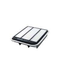 Filtron Luftfilter Filtereinsatz Passend FüR Mitsubishi Grandis | Ap 172/4
