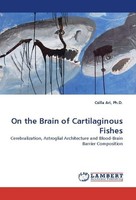 On The Brain Of Cartilaginous Fishes Ari