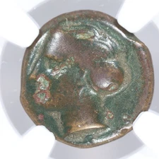 Bruttium, Terina AE15 Ancient Greek Bronze Crab Coin 350-275 BC - NGC F