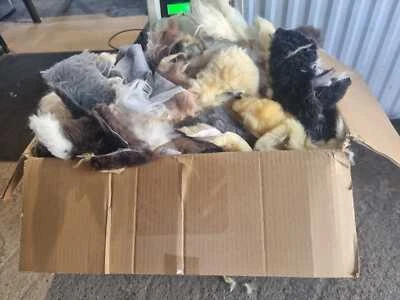 PROVELLUS Eco pelle di pecora sezioni vera lana pelle ideale per bricolage ottimo affare 5KG!