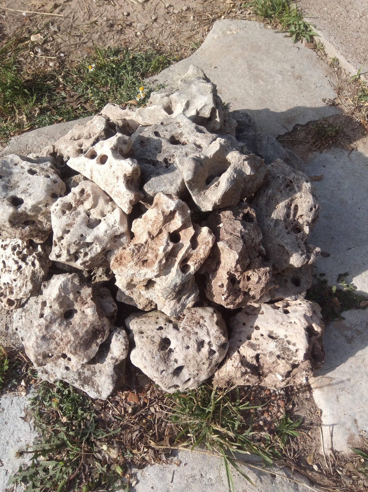 1 BOX TEXAS NATURAL LIMESTONE HOLEY ROCK AQUARIUM TERRARIUM ROCKS