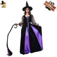 Witch Costume Purple Women Gothic Halloween Costumes Hat and Dress