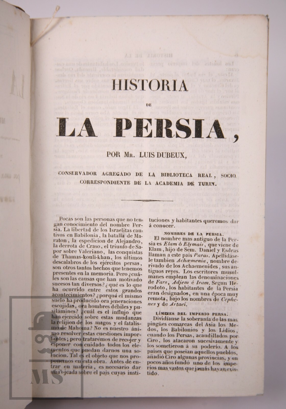 Imagen 10 de 12