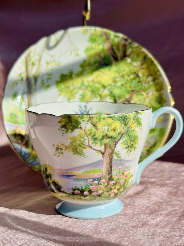 Shelley Woodland (1950s) Pattern Tea Cup And Saucer, Dainty Shape