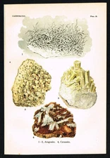 1911 Aragonite & Cerussite – Antique Mineral Chromolithograph Plate 18