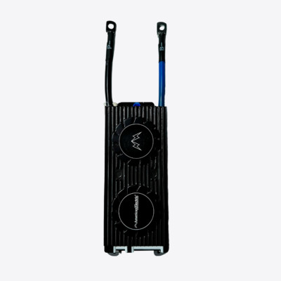 60V 16S Li-ion 30A Battery Management System (BMS) - Made in America | AE