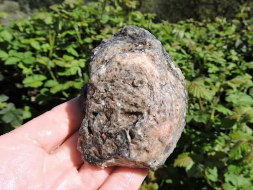 BLUE Solid Las Choyas Coconut Agate Lapidary Gem. Cut in half (2 lbs & 3 oz ) - Picture 18 of 22
