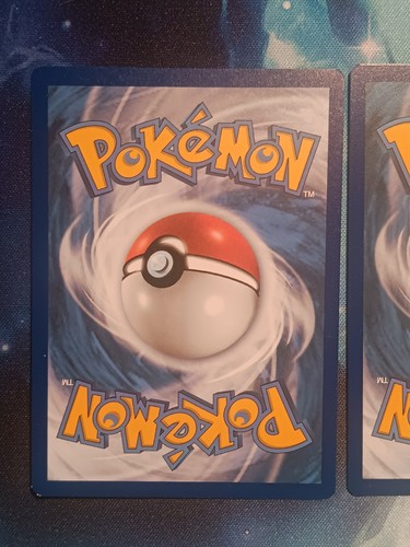 Pokémon Celebrations Groudon And Kyogre 25th Anniversary - Picture 5 of 6