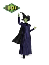 Official Universal Studios Wicked Elphaba Adult Deluxe Costume Size: Adult Small