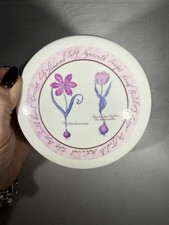  Vintage Cloverleaf Tulip Bulbs Coaster Set w/ Holder Botanical Floral 6pc 