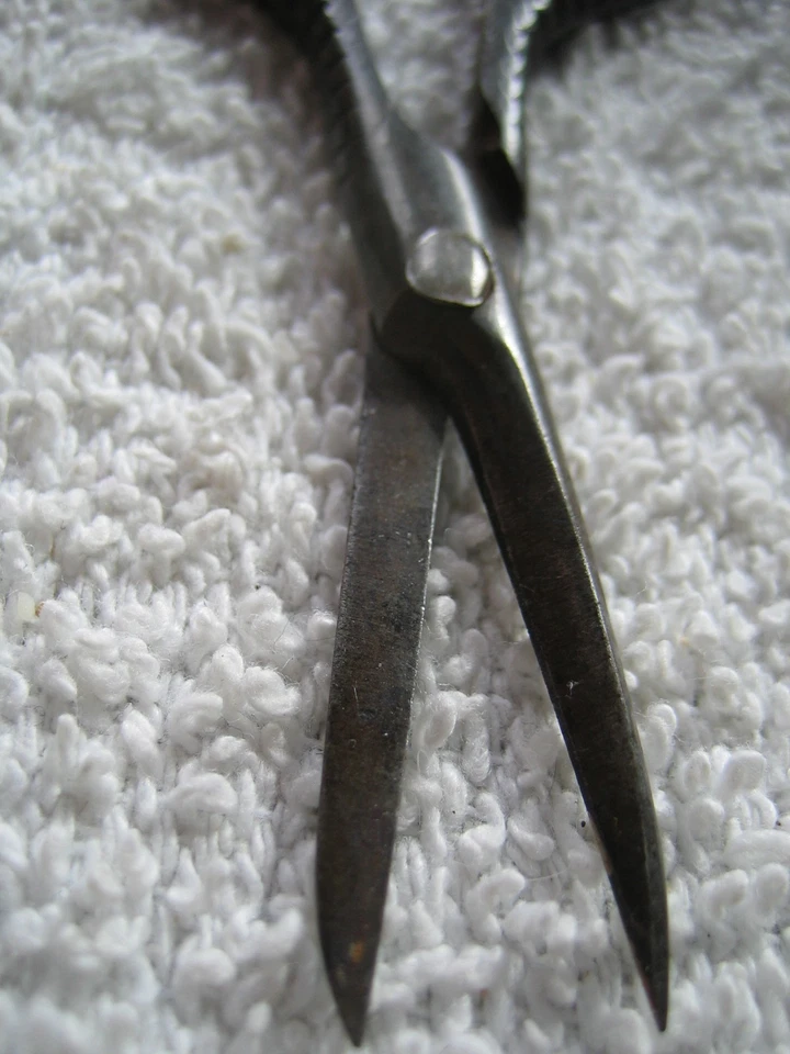 Tijeras de tapiz victoriano herramienta de costura antigua de costura de costura de mediados de 1800 4 pulgadas Foto 3 de 4