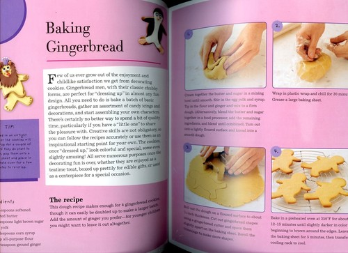 Dress Your Gingerbread - Bake, Dress, Eat - Softbound Decorating Book - Foto 5 di 6