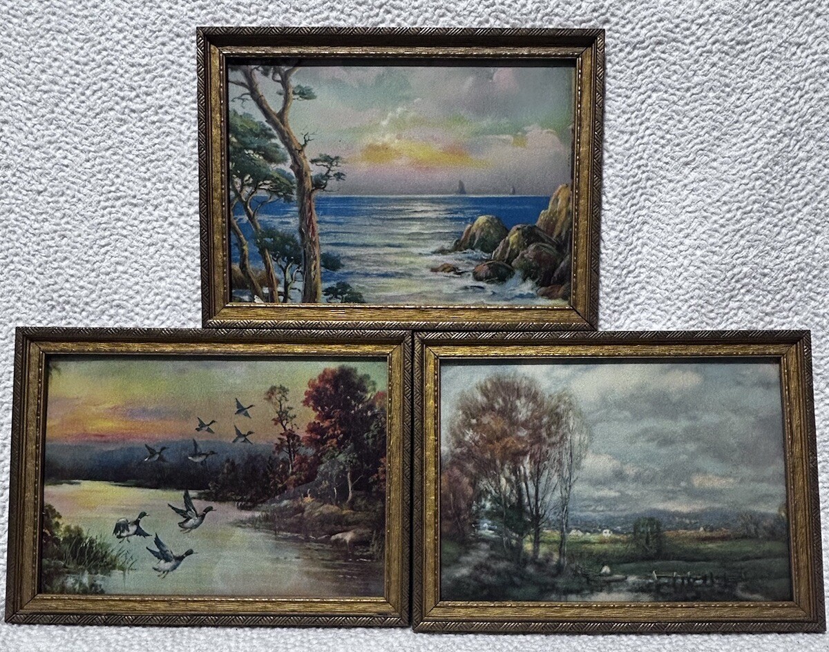 Reliance Picture Frame Co 3 Litho Prints Vintage 1957 Nature Scenes