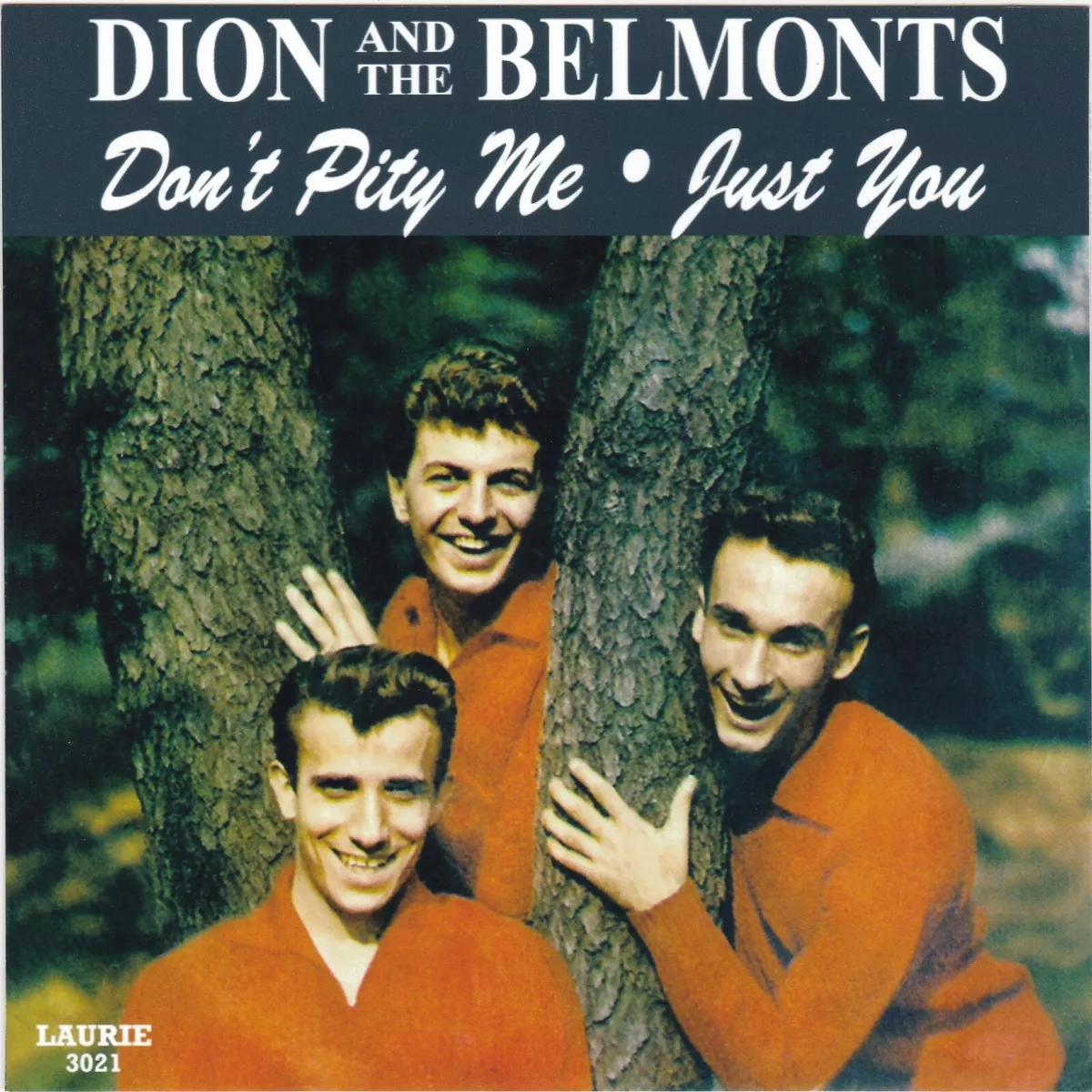 Dion & Belmonts "Don't Pity Me" & "Just You" Laurie 3021 Record & Custom  Pic Slv
