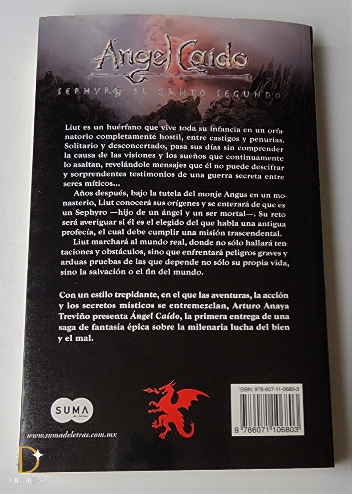 Angel Caido by Arturo Anaya Trevino (2010, Trade Paperback) for