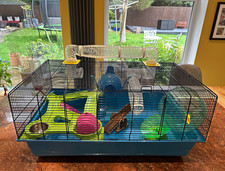 Hamster heaven Cage with ALL accessories + full bag food + full bag sand