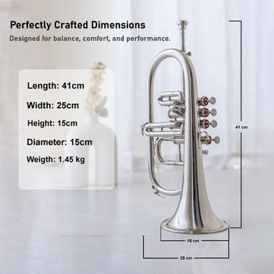 Flugel Horn NICKE Bb Flat 4 Valve With Hard Case Mouthpiece ..