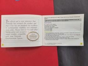 manuale dr mario nes