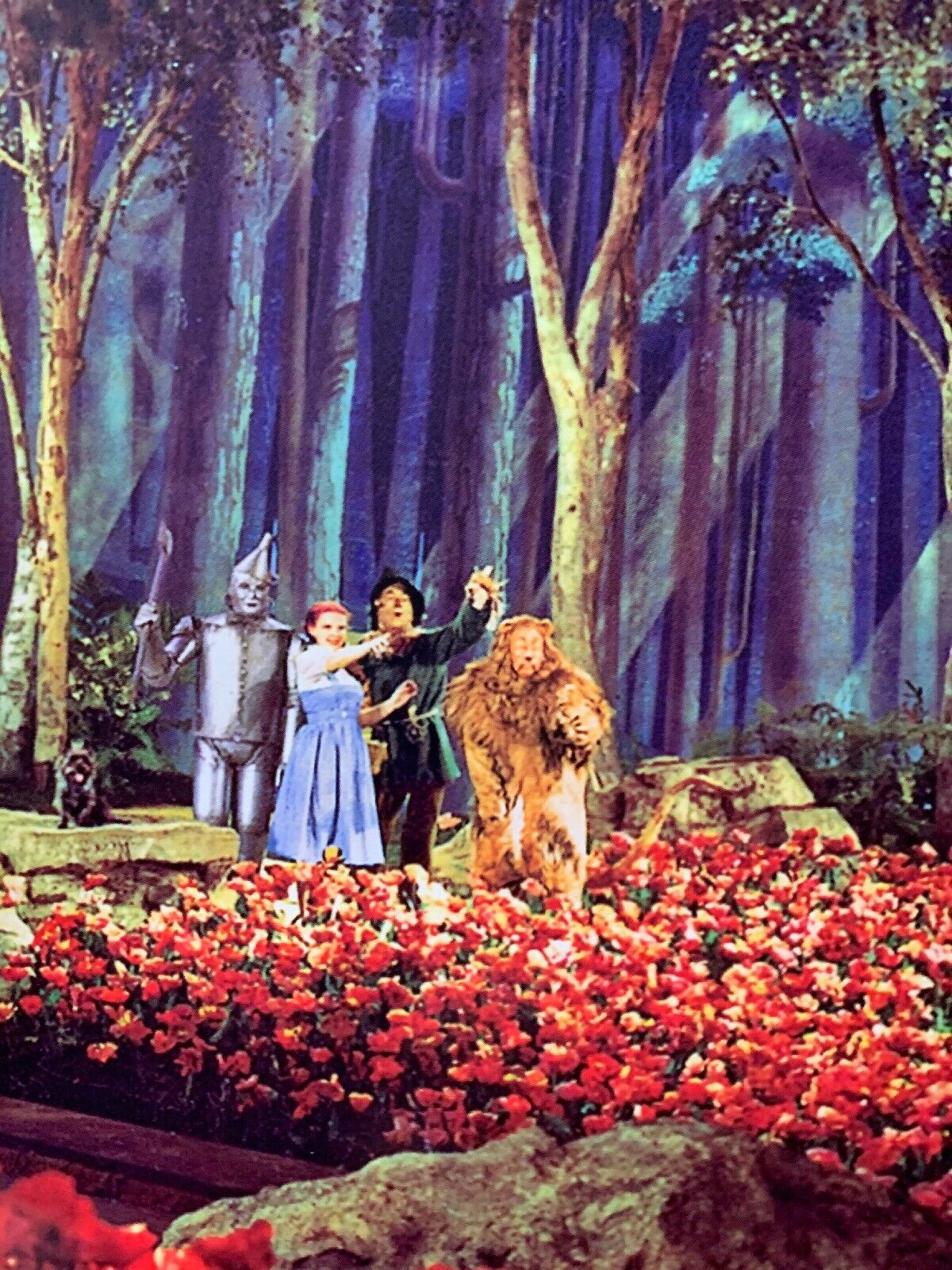 Behind the Curtain: The Wizard of Oz - The American Society of  Cinematographers (en-US)