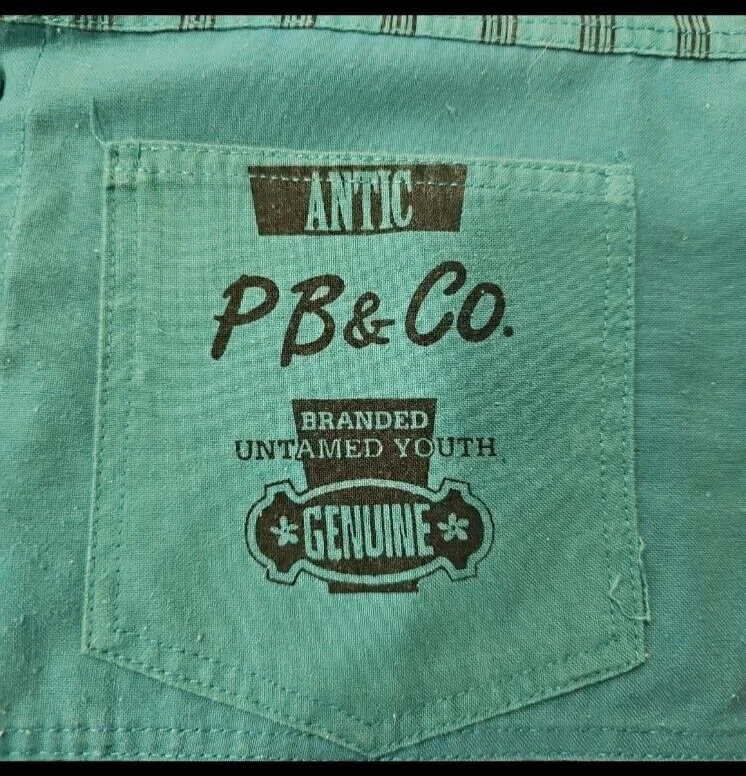 Camisa PB & Co Años 90 Indómita Juvenil Abotonada Talla Extra Grande De Colección Manga Corta Foto 4 de 4