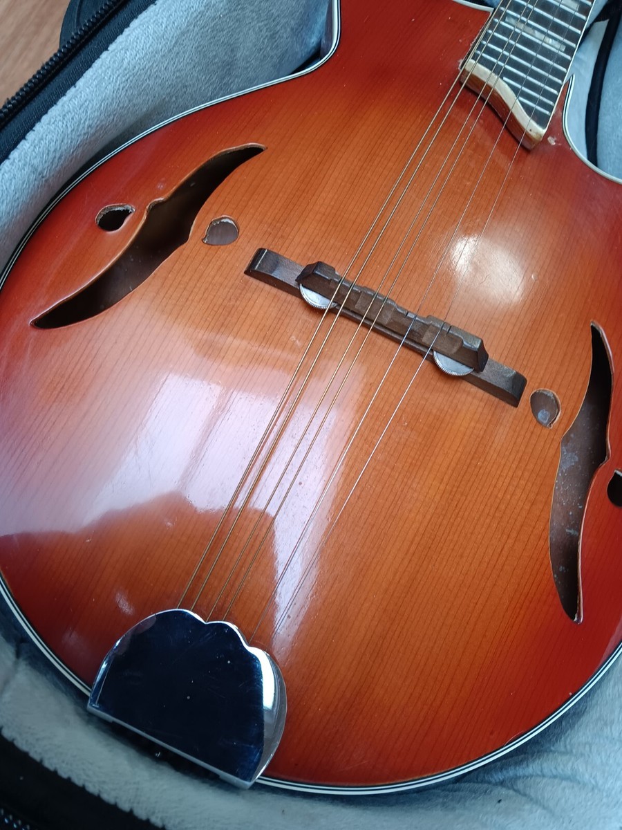 harmony mandolin フラットマンドリン 1970ビンテージ harmony mandolin フラットマンドリン 1970ビンテージ
