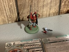 A16586 WARMACHINE HORDES RETRIBUTION SCYRAH DAWNLORD VYROS METAL PAINT PRIVATEER
