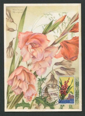 SAN MARINO MK 1957 FLORA GLADIOLE MAXIMUMKARTE CARTE MAXIMUM CARD MC CM d8086