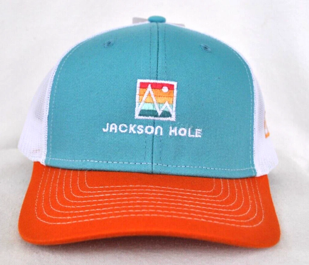 *JACKSON HOLE WYOMING* Ski Snowboard Trucker Ball cap hat *OURAY 51342 sample*
Opens in a new window