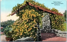 Vintage Postcard Gold of Ophir Rose Pergola Covered Garden California