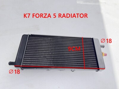 Radiator For 300cc BUGGY FORZA 57 K 7 Dune Buggy | eBay