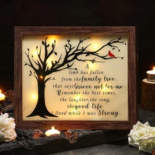 Sympathy Shadow Box Led Cardinal Memorial Bereavement Gift Wood 10X8 Classic