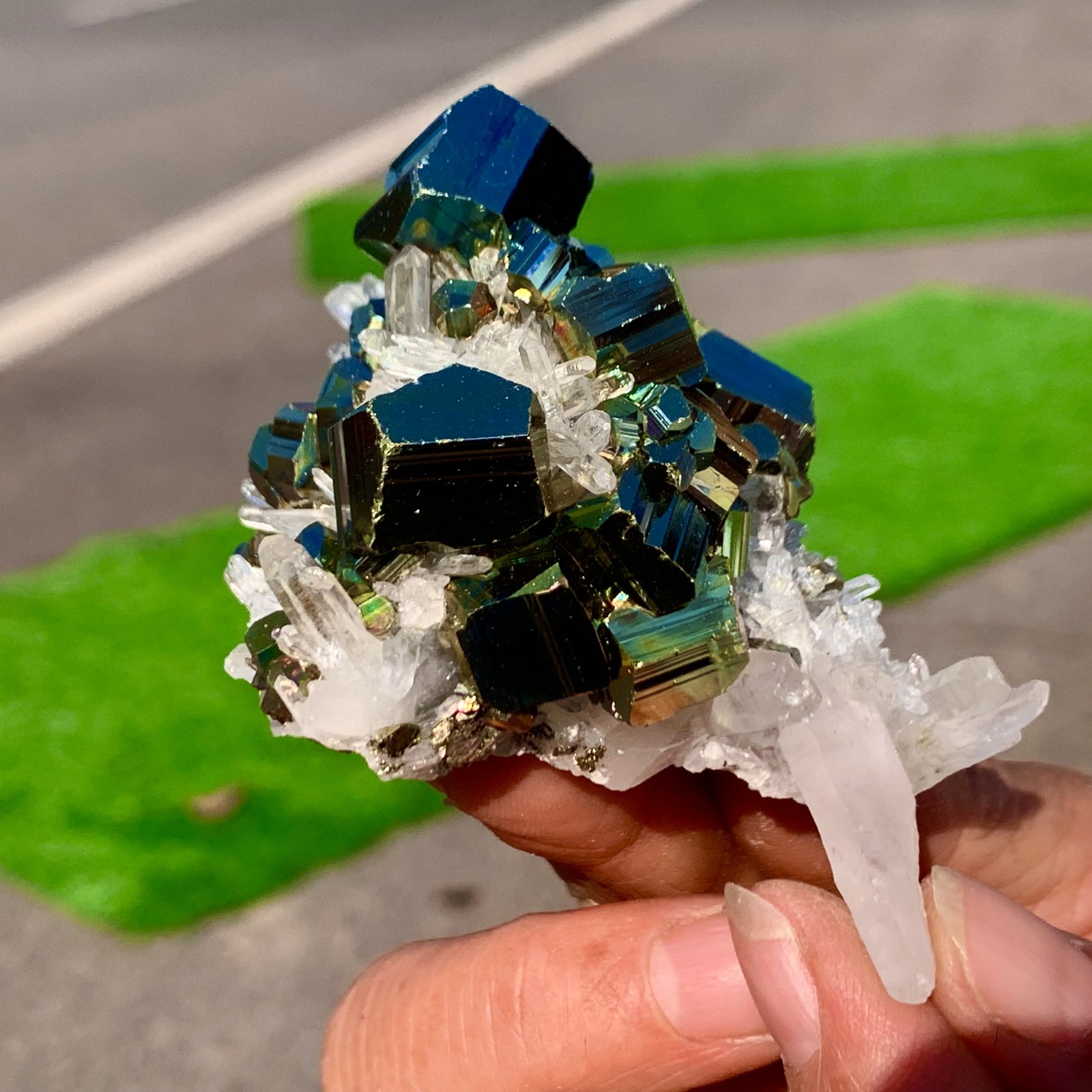 133G Natural colorful chalcopyrite clear Cluster coexisting crystal mineral