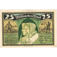 [#293329] Germany, 25 Milliard Mark, 1923-10-25, UNC