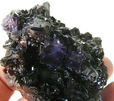 PURPLE FLUORITE ON RUBY JACK SPHALERITE, Elmwood, Carthage, Tennessee USA