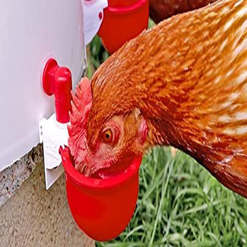 RentACoop DIY Autofill Chicken Cups for Any Watering System: Pack of 7 - Picture 3 of 6