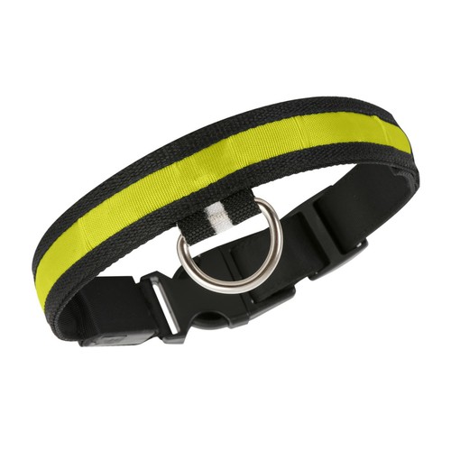 Light Up Dog Collar USB Rechargeable LED Nylon Adjustable Visibility Glowing Au - Picture 18 of 22