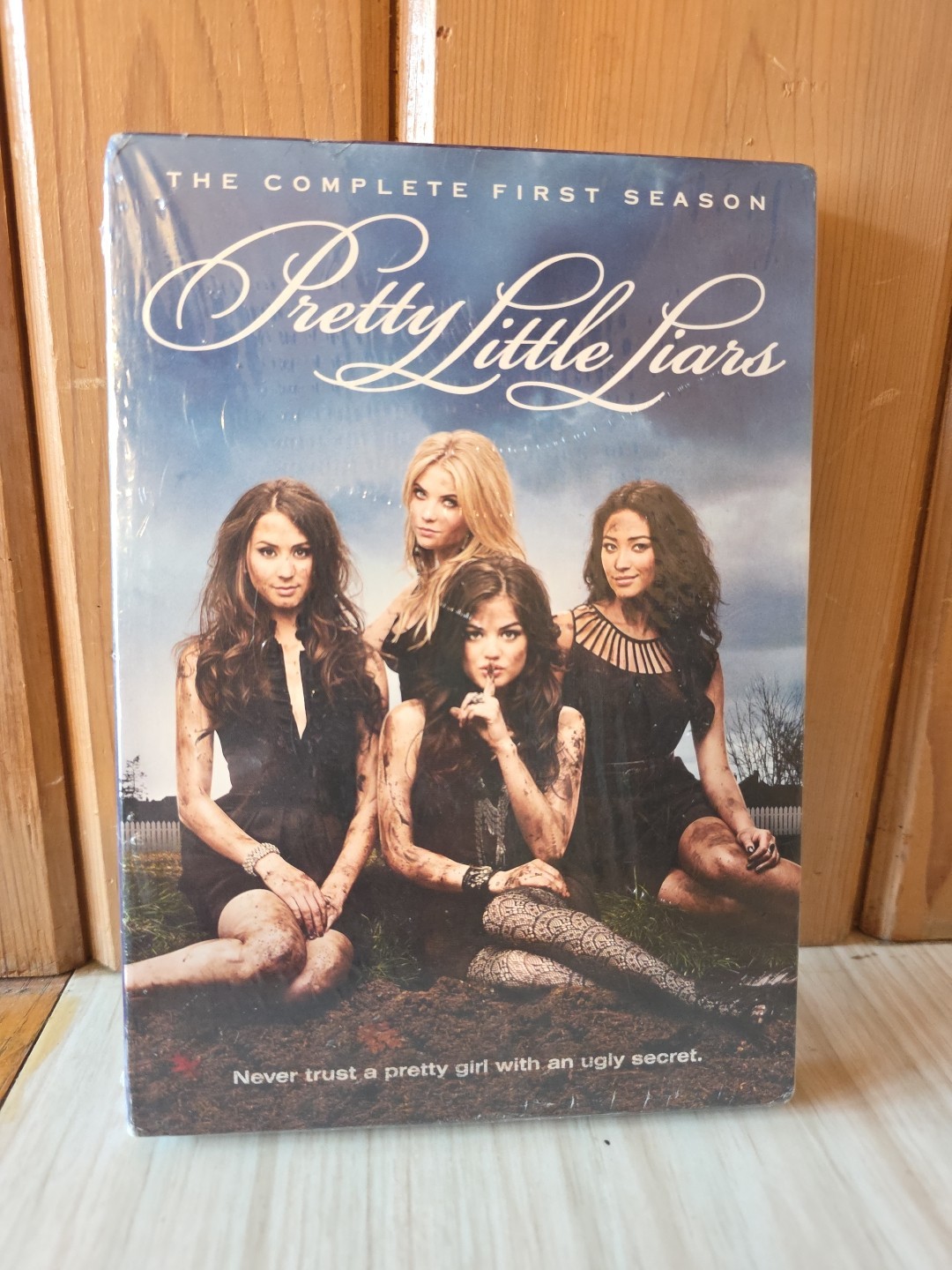 Pretty Little Liars: Complete First Season (DVD, 2010) Ashley Benson, Lucy Hale