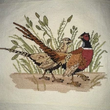 Pheasant Pair Cross Stitch 7x9” Design Hunting Unframed 