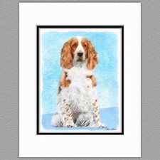 Welsh Springer Spaniel Dog Original Art Print 8x10 Matted to 11x14