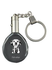 Dalmatian, Carriage Dog, Spotted Coach Dog - pendant with a photo of a dog, crys