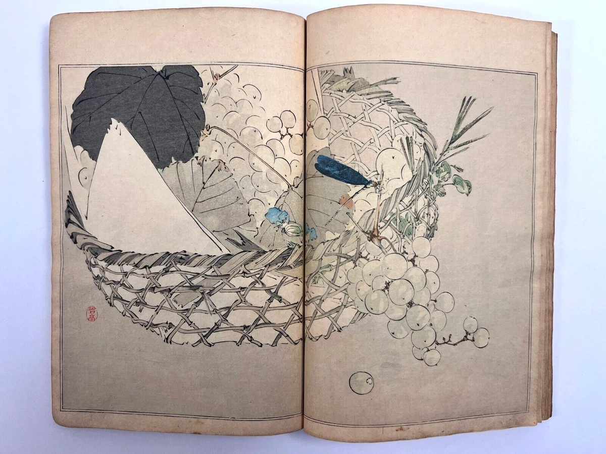 1st Edition 1850-1899 Antiquarian & Collectible Books in Japanese