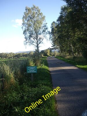 Foto 12x8 BITTE LANGSAMER! Birse 'You could meet a horse any time n c2012