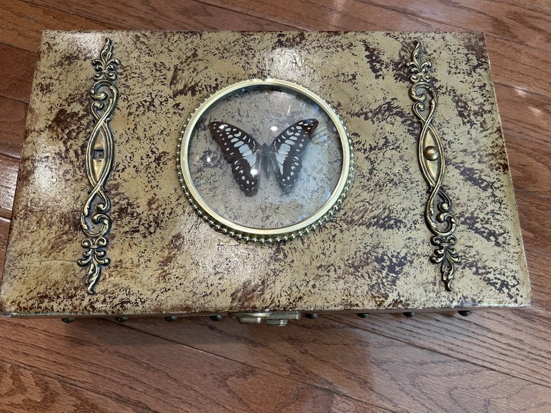 Vintage Sewing Box With Butterfly Specimen In Bubble On Top, Scissors & Notions