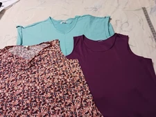 LOT OF THREE*NEWYORK LAUNDRY TERRA&SKY* Tops*Size 3X*See Pictures For Details 