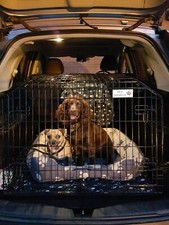 Pet World Honda CR-V Sloping Dog Crate - Training and Travel Cage for Pets 