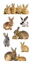 Scrapbooking Stickers Paper House Slim Bunnies Bunny Rabbits Babies Repeats