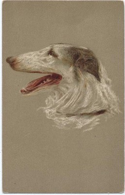 20071177 - Russ. Windspiel. T.S.N. Ser. 817,T.S.N. Zoo um 1910