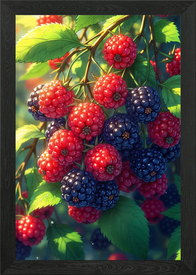 Gerahmtes Wandbild Poster Leinwanddruck Bild frische Himbeeren und Brombeeren