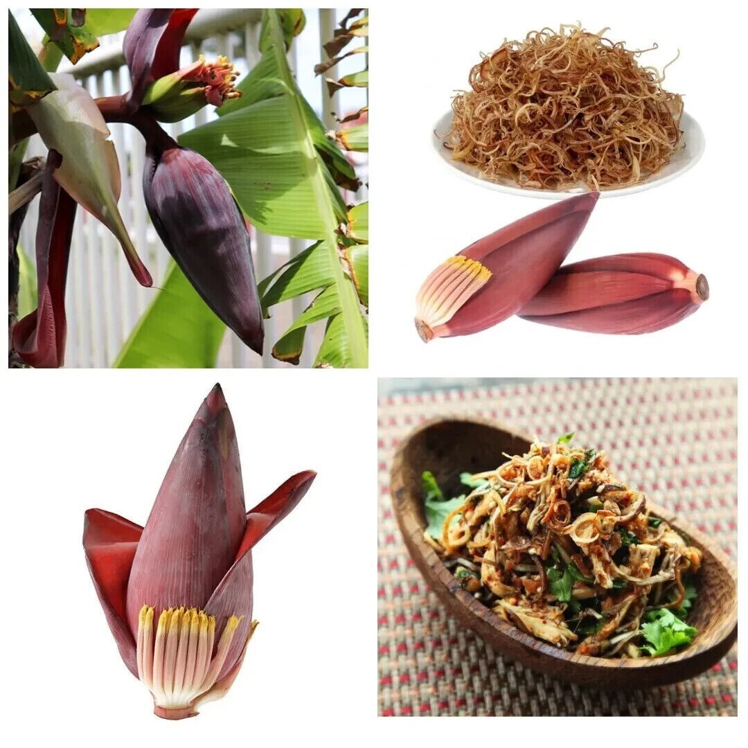 Ceylon Dried Banana Flower Blossom 50g Pure Organic Natural